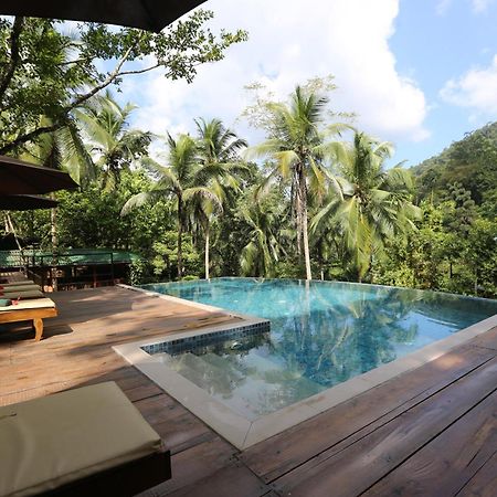 360 Rainforest Deniyaya Dış mekan fotoğraf