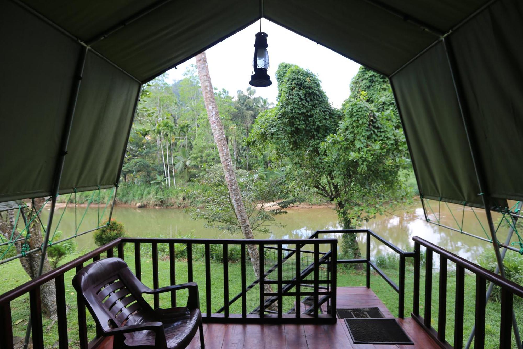 360 Rainforest Deniyaya Dış mekan fotoğraf