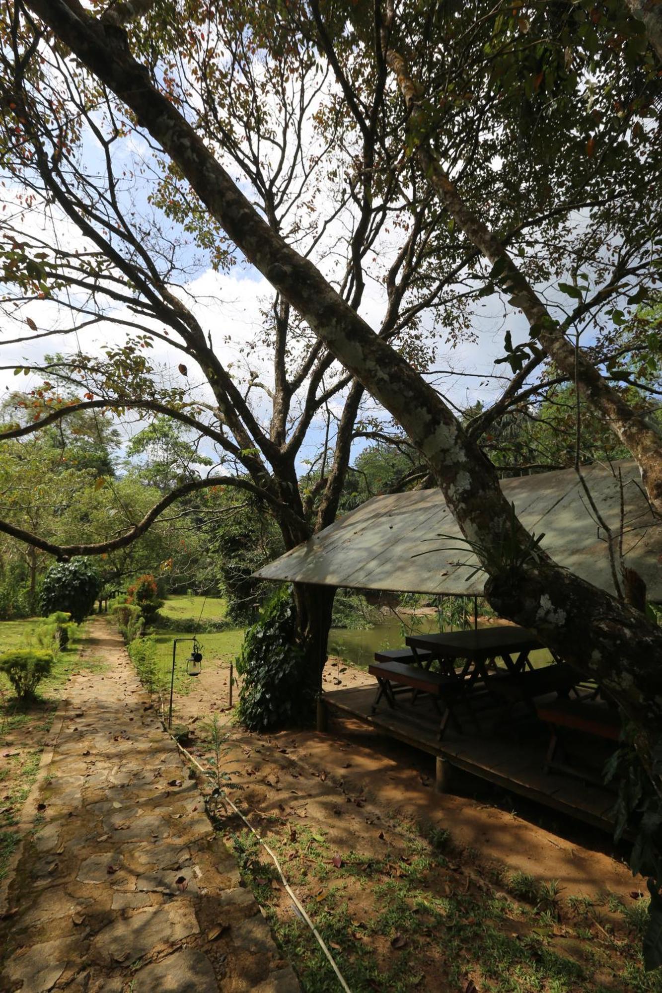 360 Rainforest Deniyaya Dış mekan fotoğraf