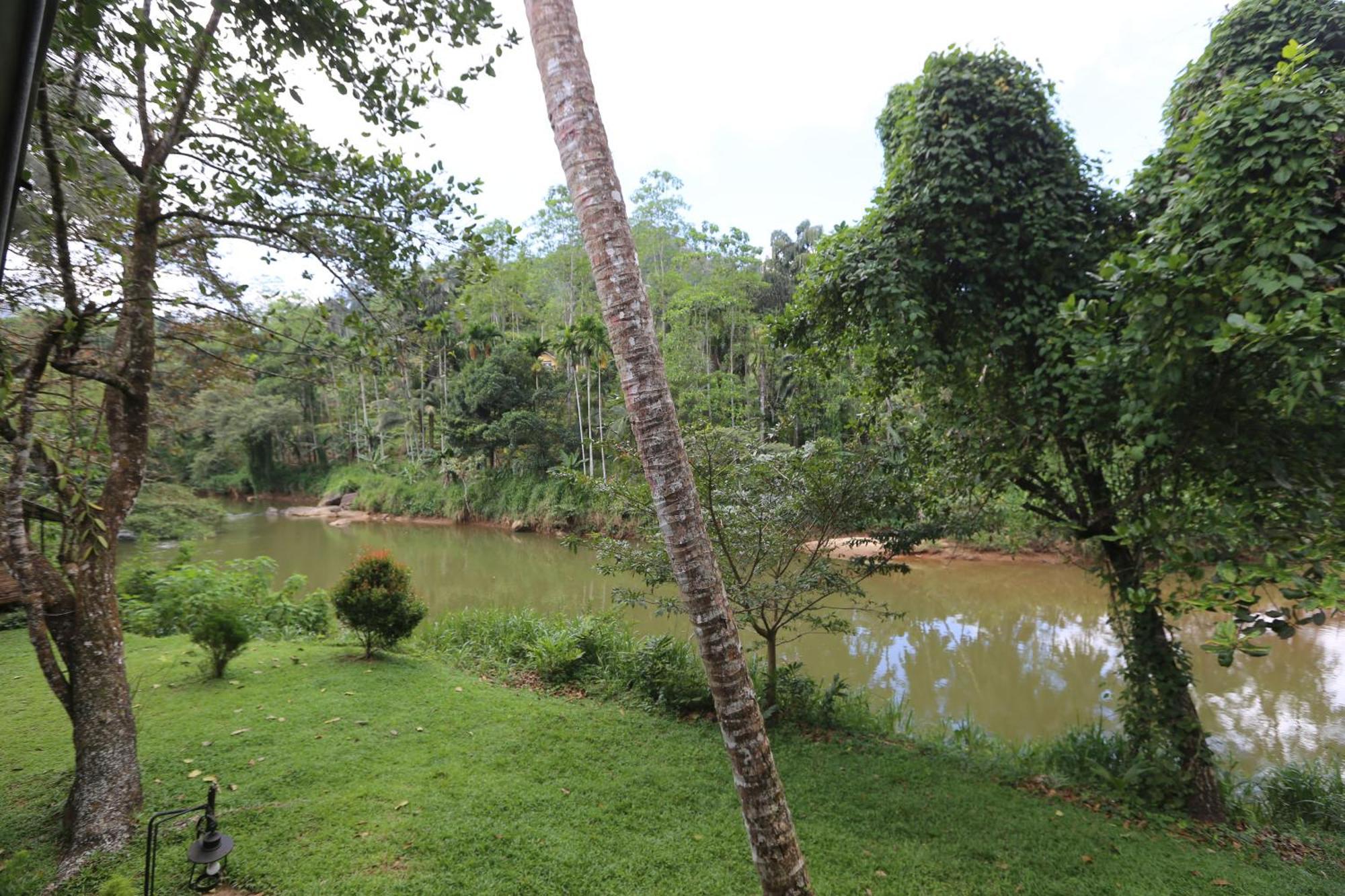 360 Rainforest Deniyaya Dış mekan fotoğraf