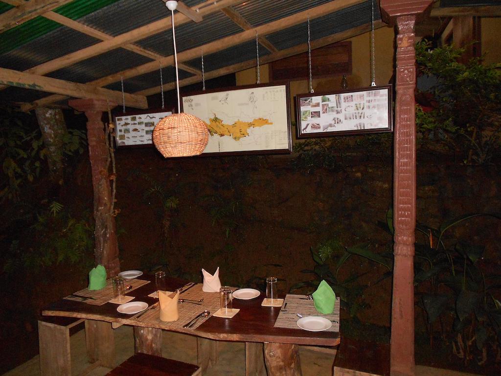 360 Rainforest Deniyaya Oda fotoğraf