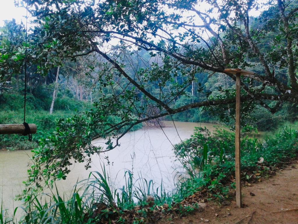 360 Rainforest Deniyaya Dış mekan fotoğraf