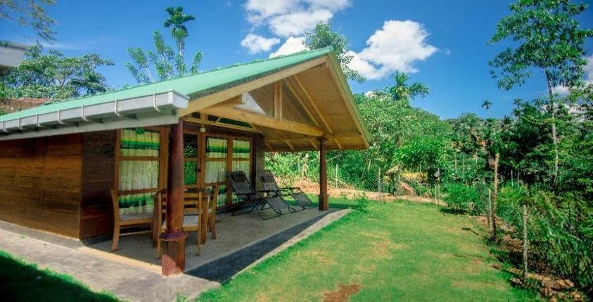 360 Rainforest Deniyaya Dış mekan fotoğraf