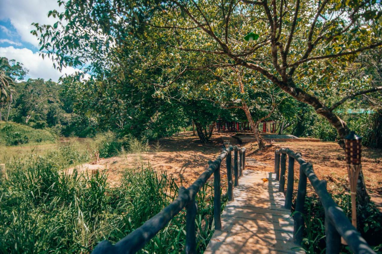 360 Rainforest Deniyaya Dış mekan fotoğraf