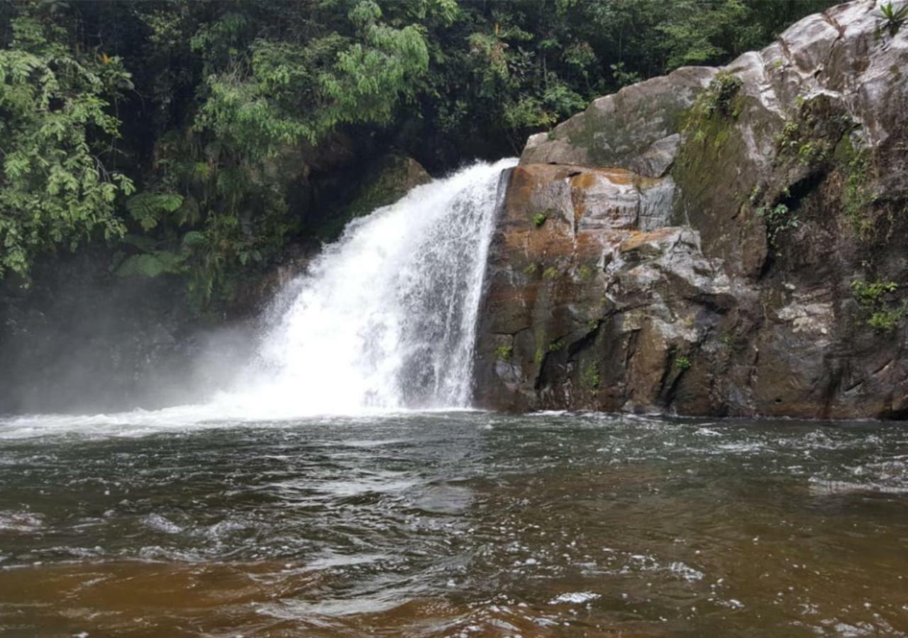 360 Rainforest Deniyaya Dış mekan fotoğraf