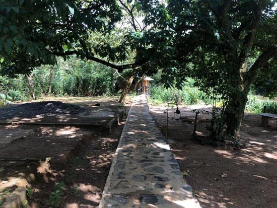 360 Rainforest Deniyaya Dış mekan fotoğraf