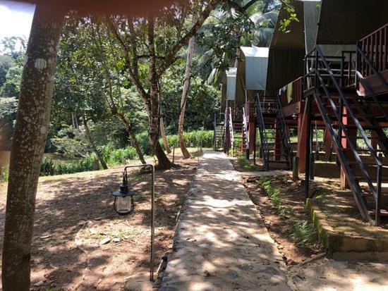 360 Rainforest Deniyaya Dış mekan fotoğraf