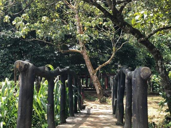 360 Rainforest Deniyaya Dış mekan fotoğraf