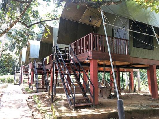 360 Rainforest Deniyaya Dış mekan fotoğraf