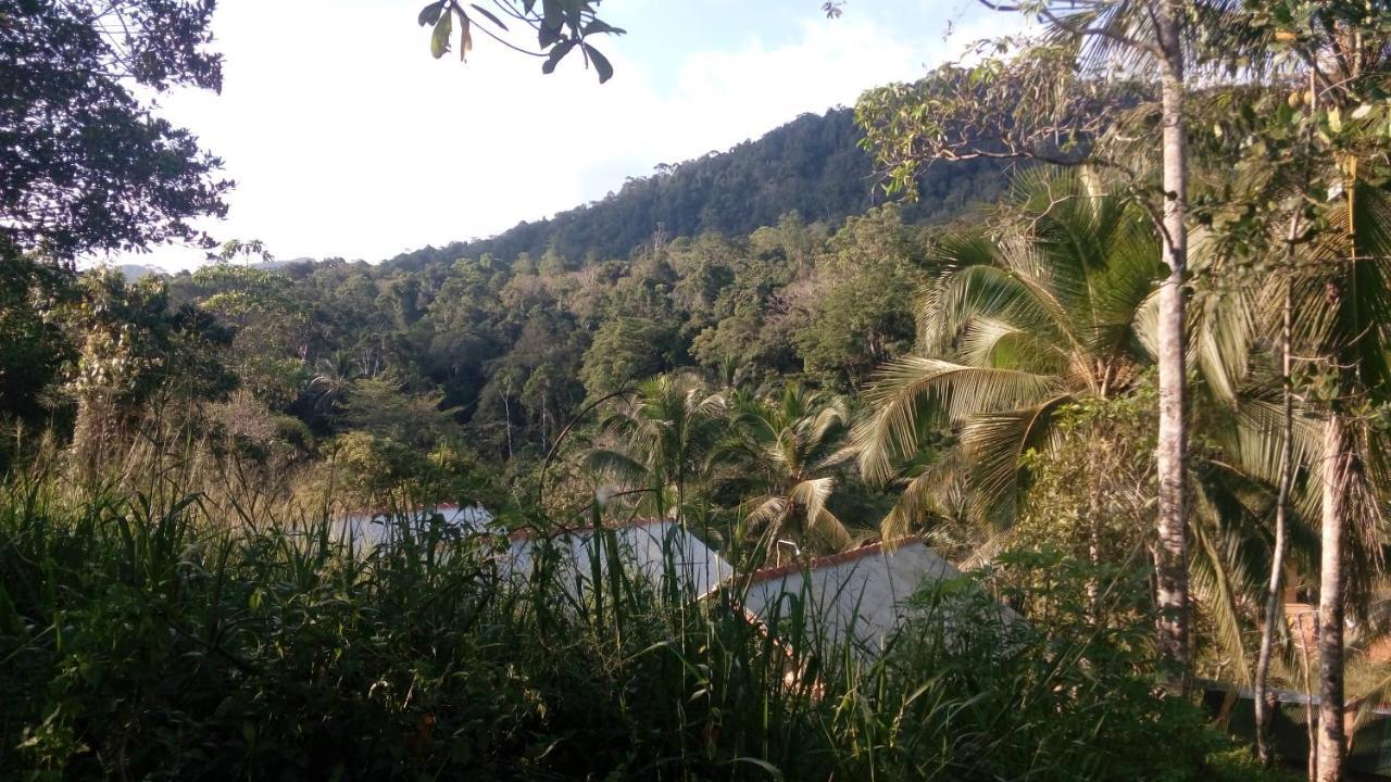 360 Rainforest Deniyaya Dış mekan fotoğraf