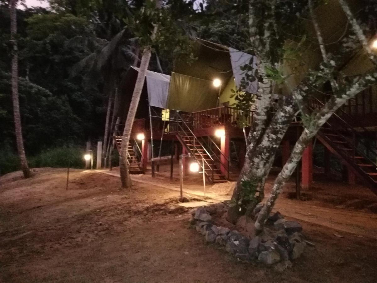 360 Rainforest Deniyaya Dış mekan fotoğraf